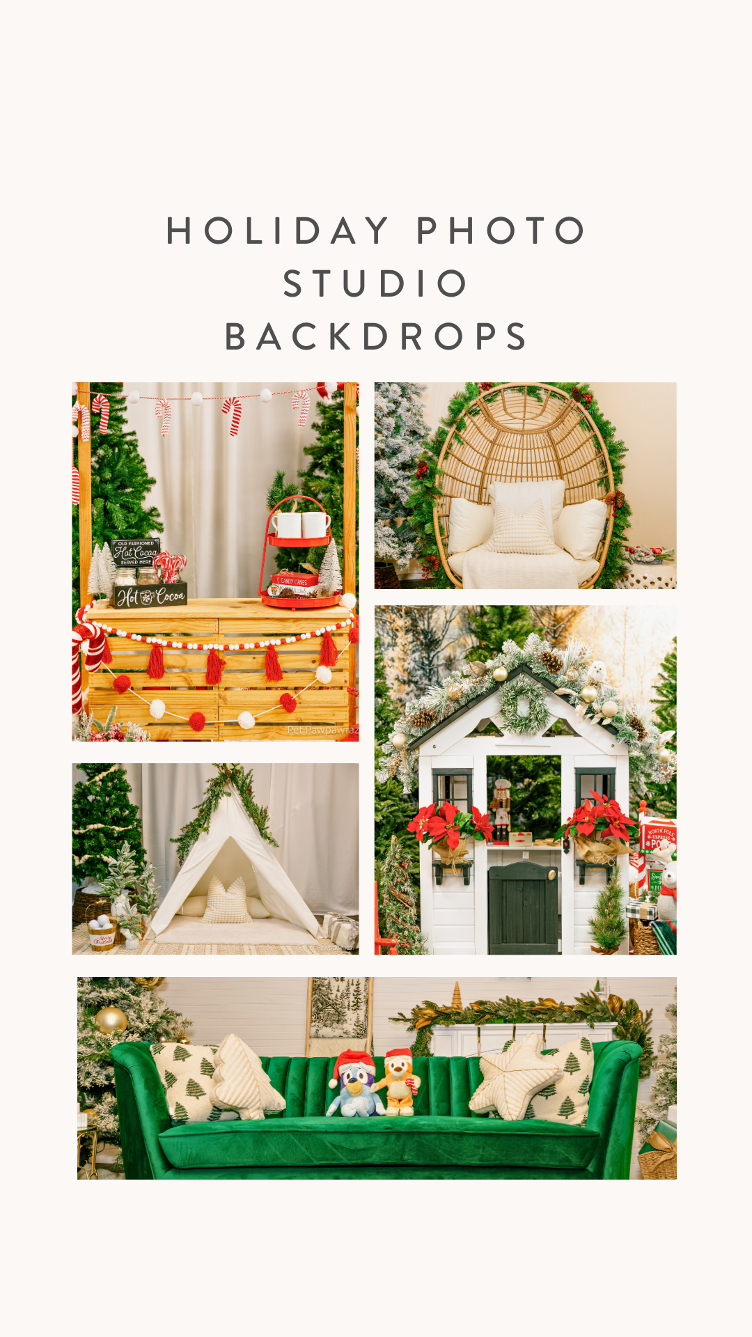 Holiday Studio Photoshoots with Pet Pawpawrazzi ππΈπΎ