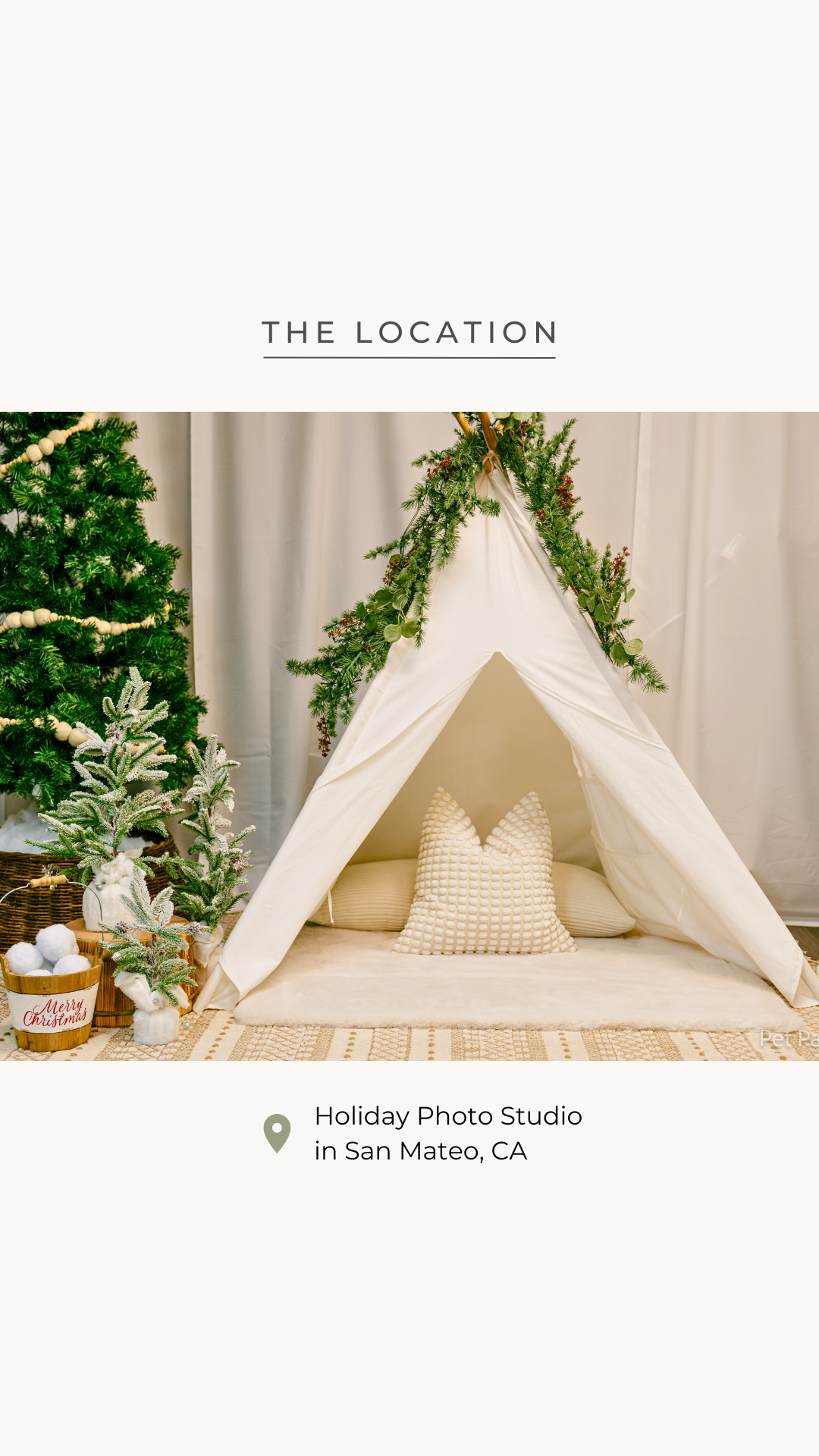 Holiday Studio Photoshoots with Pet Pawpawrazzi ππΈπΎ