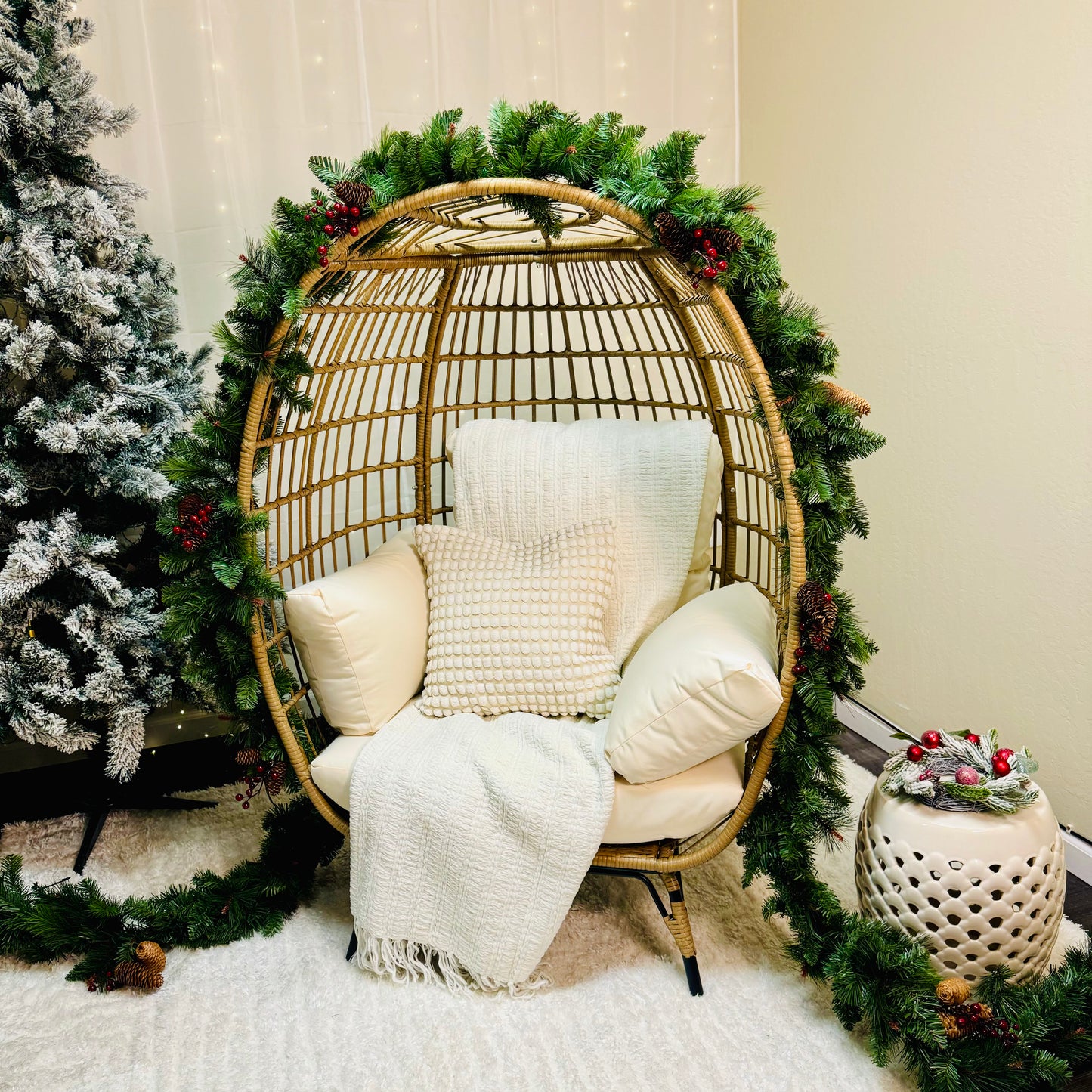 Holiday Studio Photoshoots with Pet Pawpawrazzi ππΈπΎ