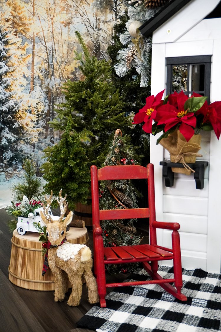 Holiday Studio Photoshoots with Pet Pawpawrazzi ππΈπΎ