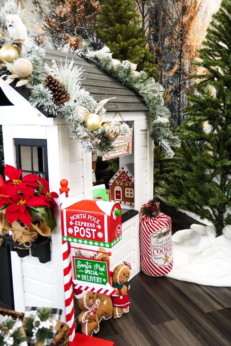 Holiday Studio Photoshoots with Pet Pawpawrazzi ππΈπΎ