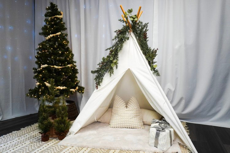 Holiday Studio Photoshoots with Pet Pawpawrazzi ππΈπΎ