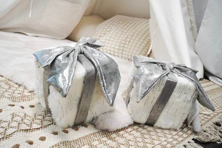 Holiday Studio Photoshoots with Pet Pawpawrazzi ππΈπΎ