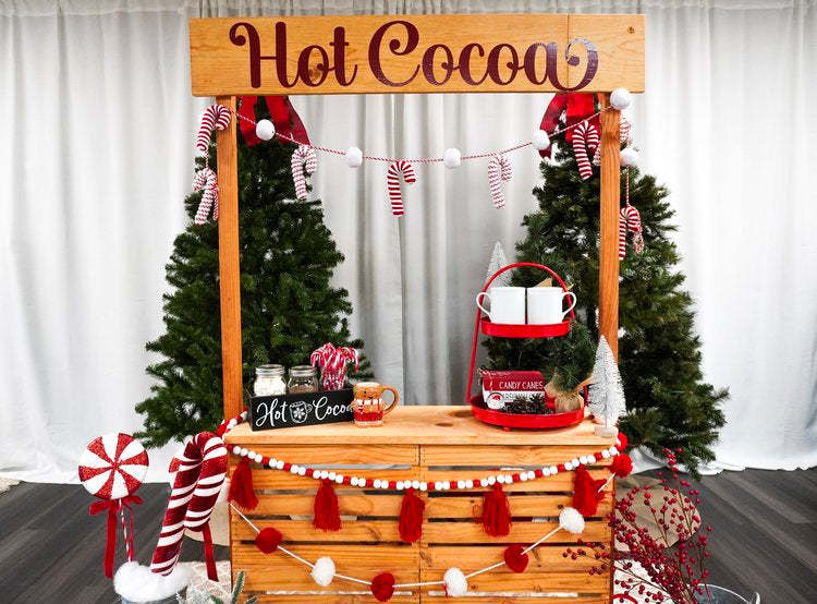 Holiday Studio Photoshoots with Pet Pawpawrazzi ππΈπΎ