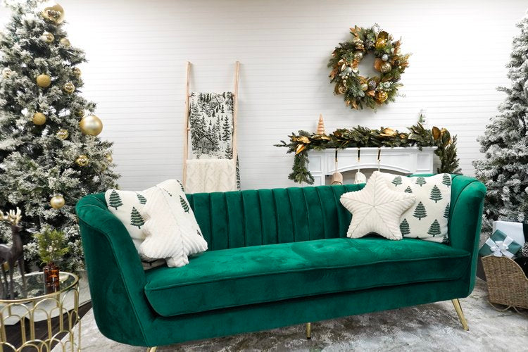 Holiday Studio Photoshoots with Pet Pawpawrazzi ππΈπΎ