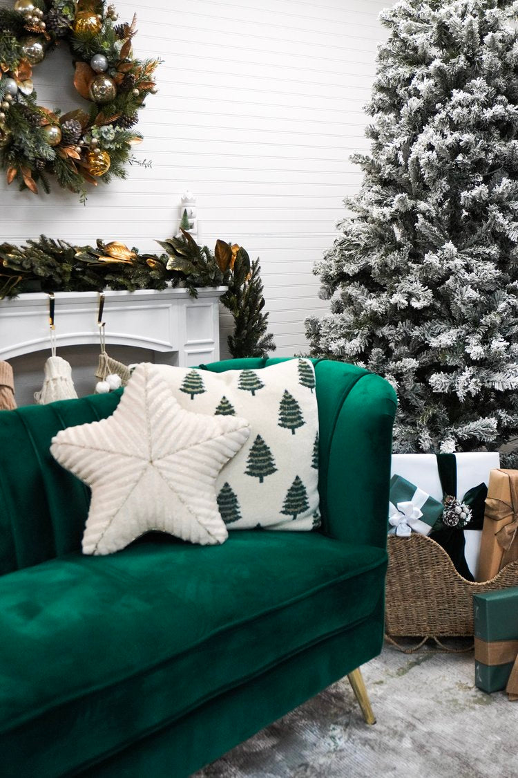 Holiday Studio Photoshoots with Pet Pawpawrazzi ππΈπΎ