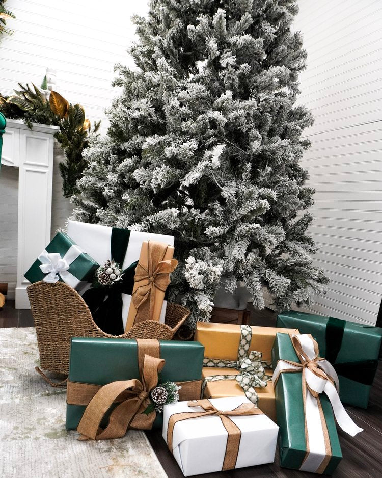 Holiday Studio Photoshoots with Pet Pawpawrazzi ππΈπΎ