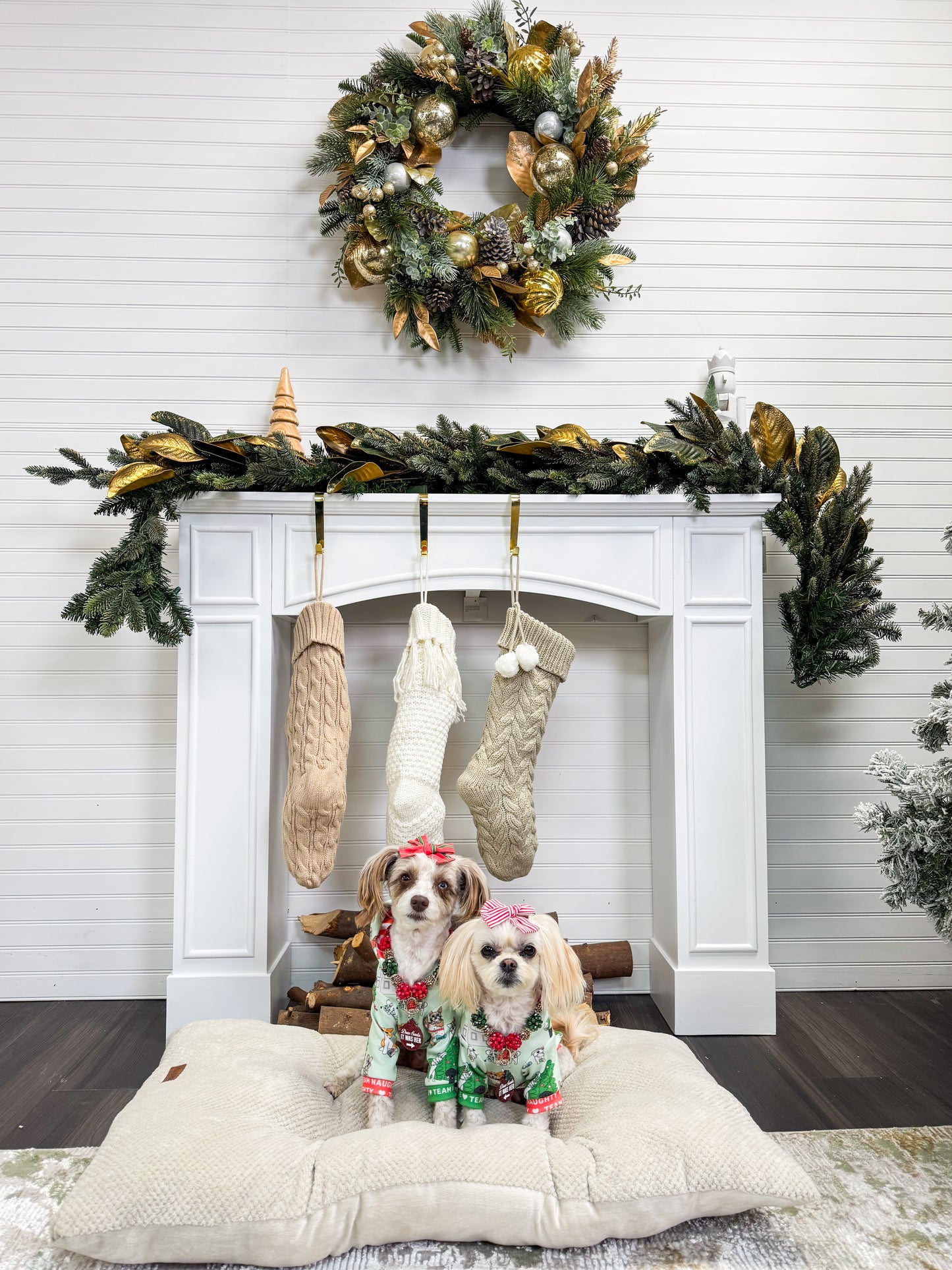 Holiday Studio Photoshoots with Pet Pawpawrazzi 🎄📸🐾